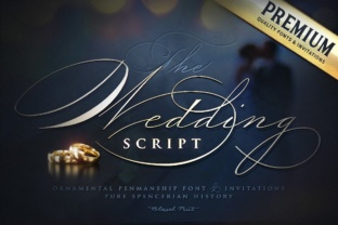 Wedding Script: Elevating Design with Ornamental Elegance
